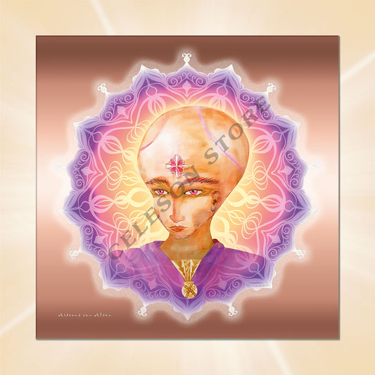 Leinwandbild ARTEEUS - Die Arkturianer