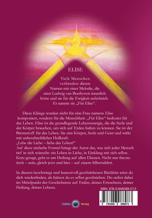 Rückseite Buch Elise - Funke des Erwachens